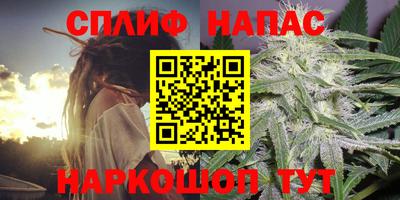гашик Бердск