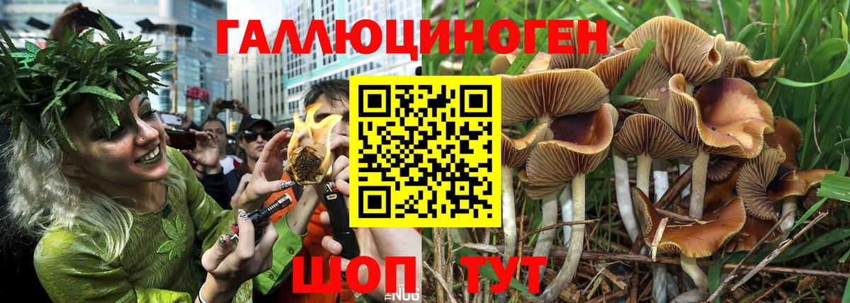 Галлюциногенные грибы прущие грибы  Вход с VPN  Псилоцибиновые грибы Psilocybe  Соликамск 